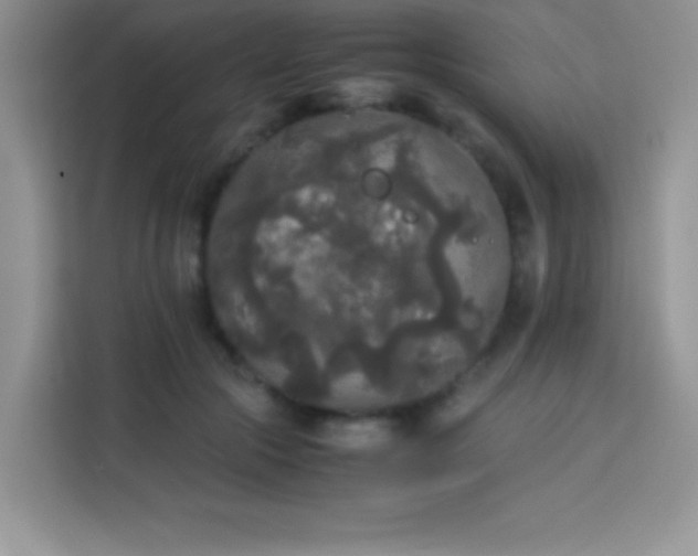 X0000114090553200910051427