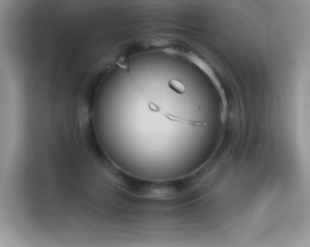 X0000114090555200910051427