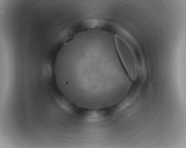 X0000114090558200910051427