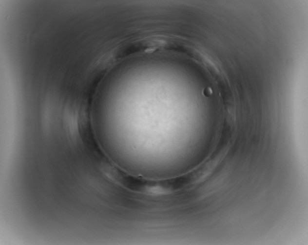 X0000114090561200910051427