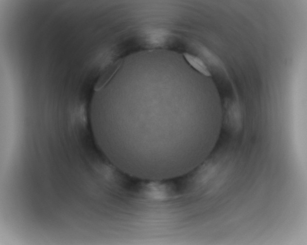 X0000114090562200910051427