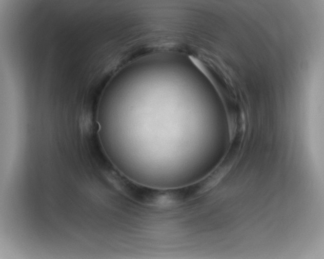 X0000114090564200910051427