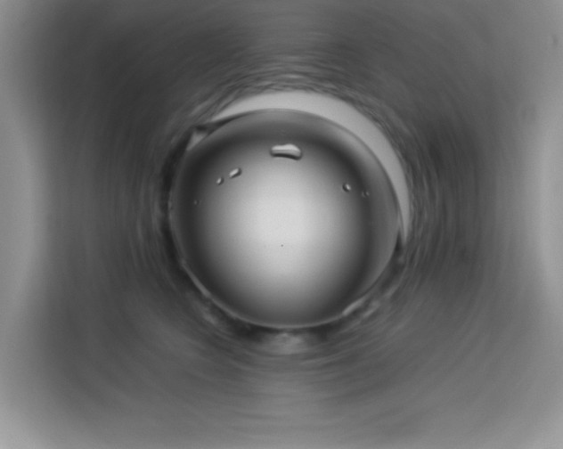 X0000114090566200910051427