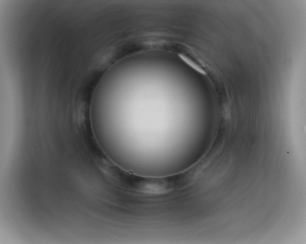 X0000114090567200910051427