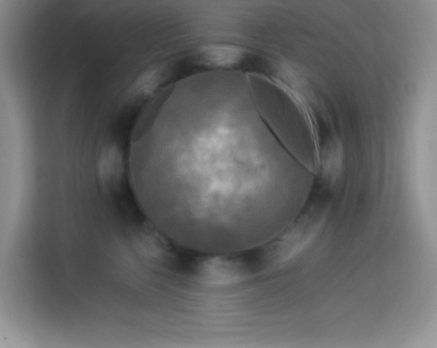 X0000114090568200910051427