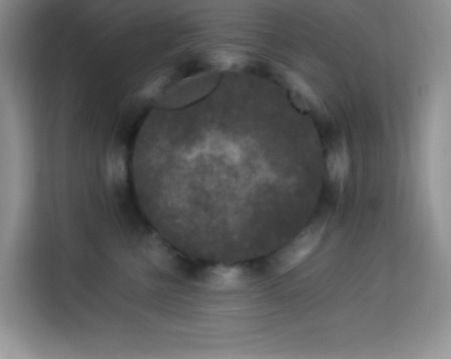 X0000114090570200910051427