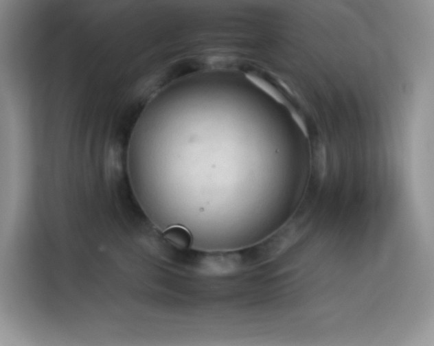 X0000114090571200910051427