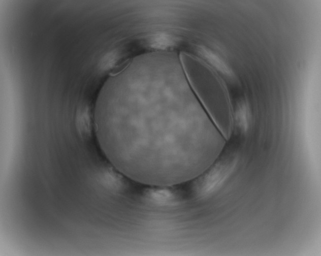 X0000114090572200910051427