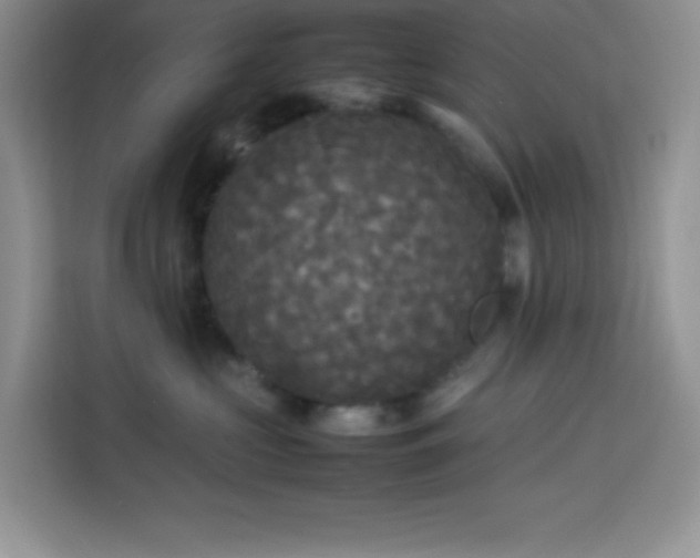 X0000114090573200910051427