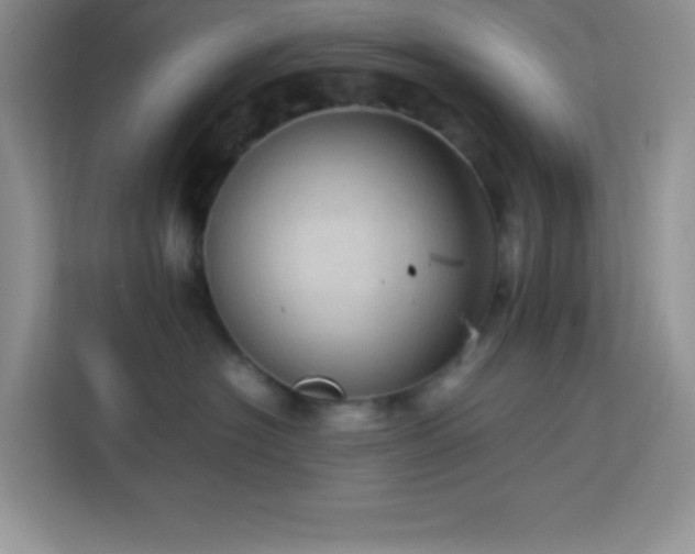 X0000114090574200910051427