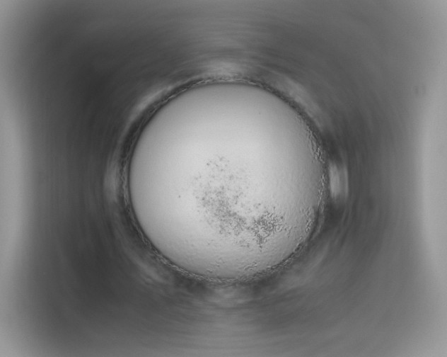 X0000114090579200910051427