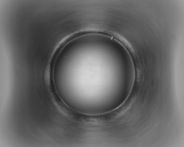 X0000114090580200910051427
