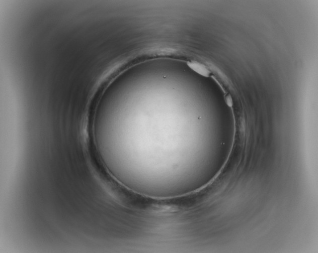 X0000114090582200910051427