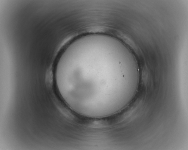 X0000114090584200910051427