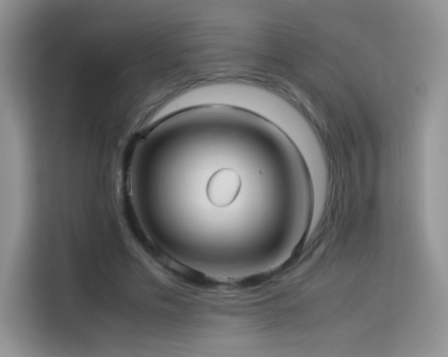 X0000114090589200910051427
