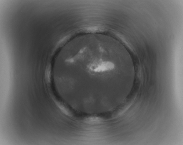 X0000114090590200910051427