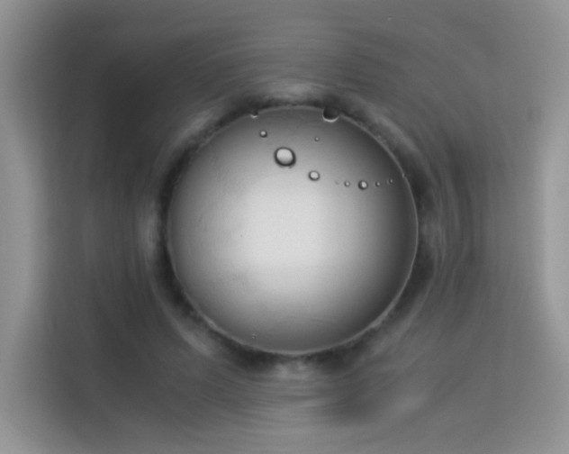 X0000114090591200910051427