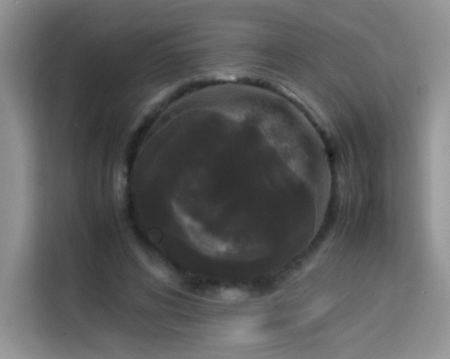 X0000114090592200910051427