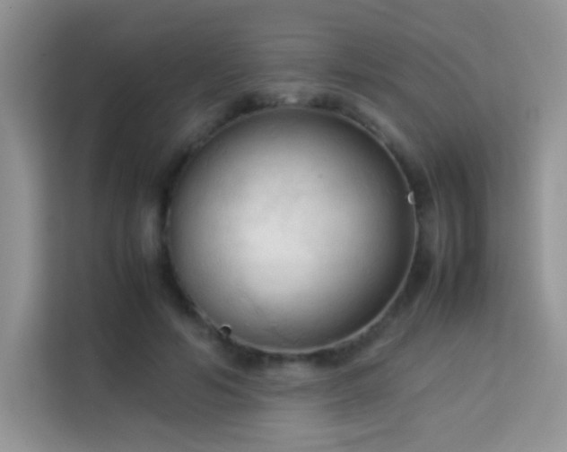 X0000114090594200910051427