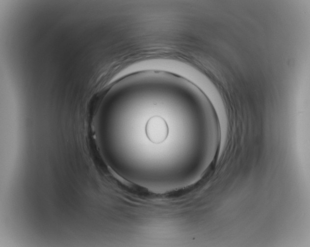 X0000114090595200910051427