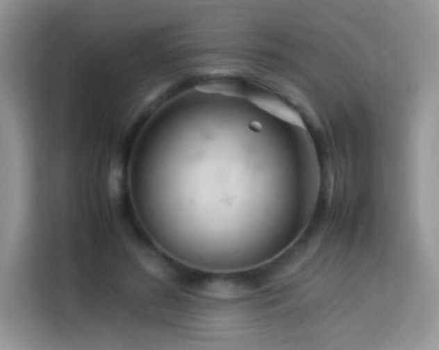 X0000114090596200910051427