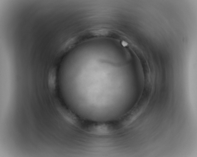 X0000114090600200910051426