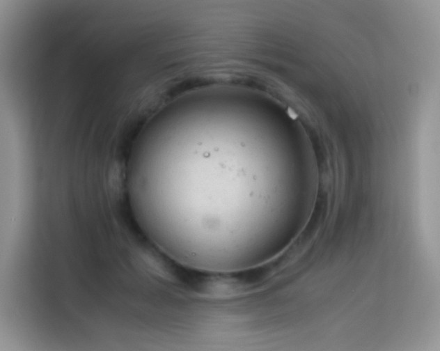 X0000114090605200910051426