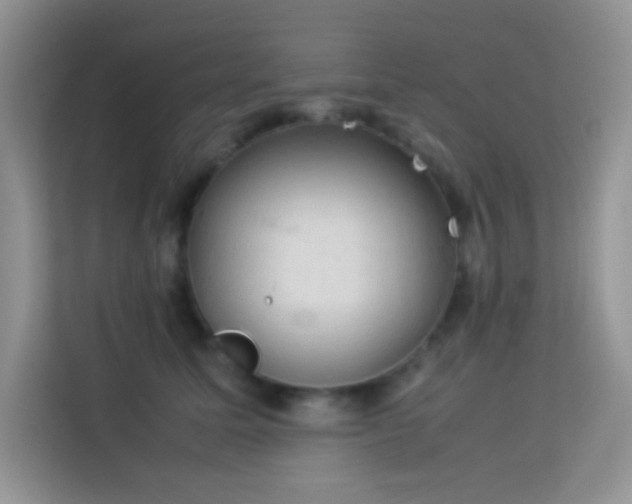 X0000114090611200910051426