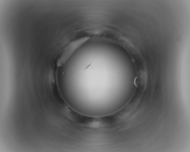 X0000114090612200910051426
