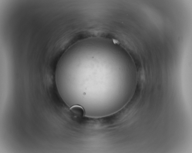 X0000114090615200910051426