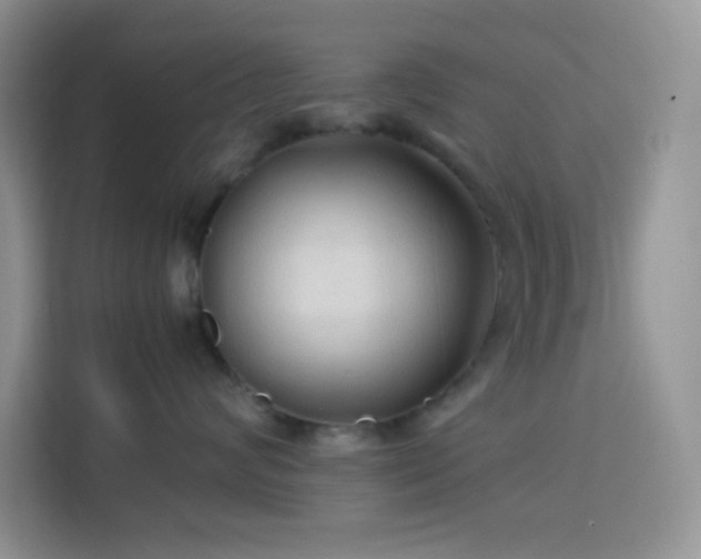 X0000114090624200910051426