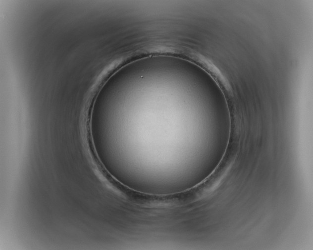 X0000114090625200910051426