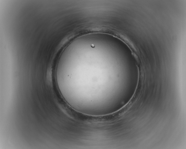 X0000114090626200910051426