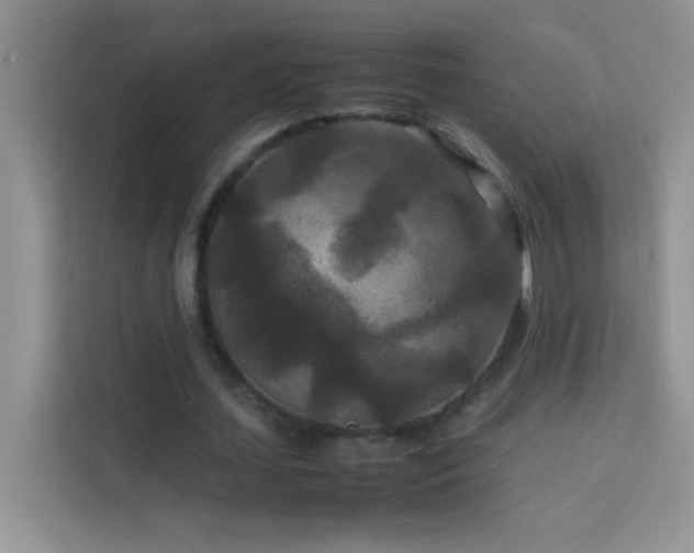 X0000114090627200910051426