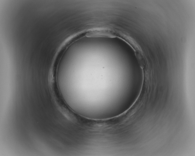 X0000114090628200910051426