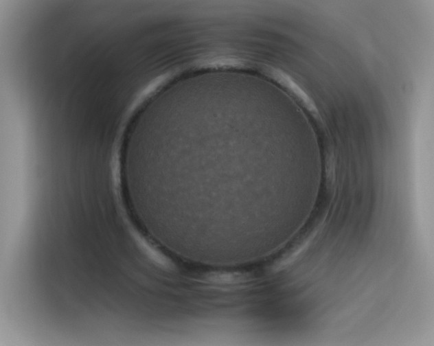 X0000114090629200910051426