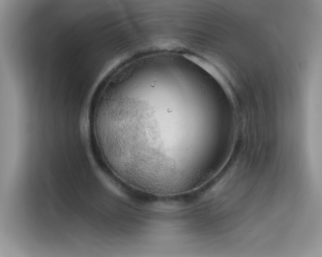 X0000114090630200910051426