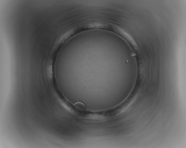 X0000114090633200910051426