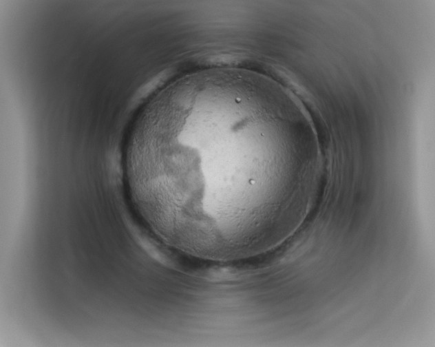 X0000114090634200910051426