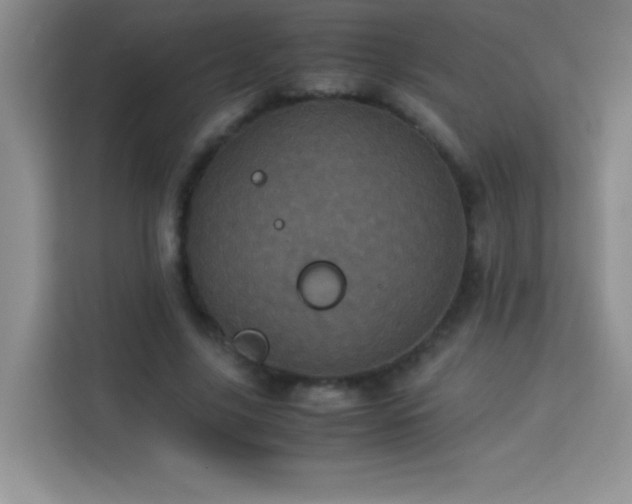 X0000114090635200910051426