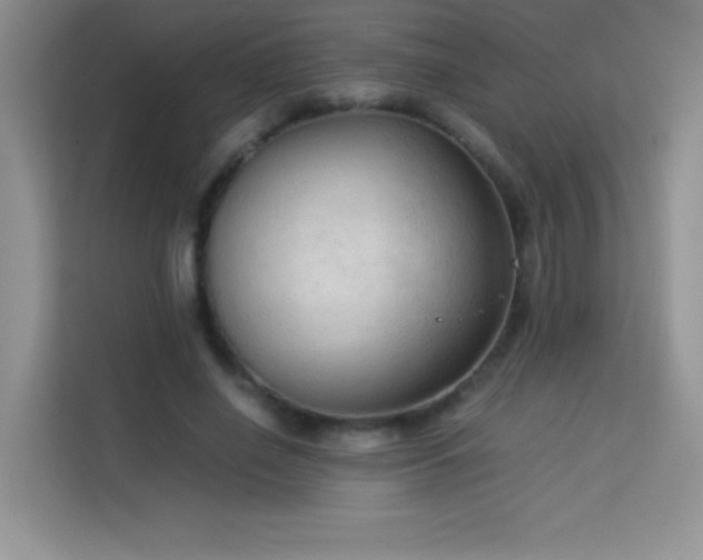 X0000114090638200910051426