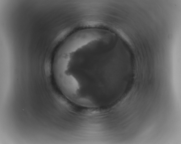 X0000114090640200910051426