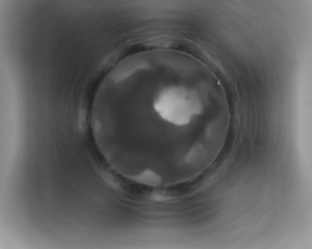 X0000114090641200910051426