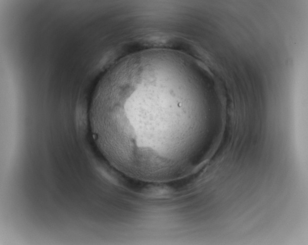 X0000114090642200910051426