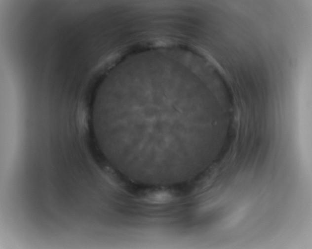 X0000114090643200910051426