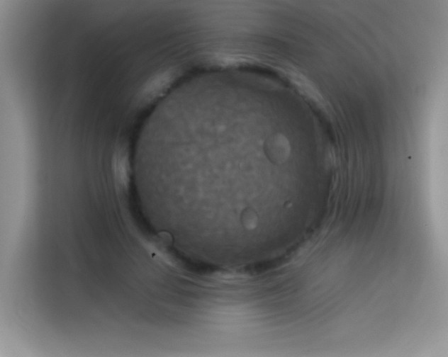 X0000114090644200910051426
