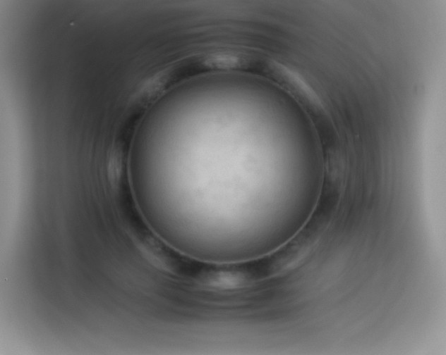 X0000114090645200910051426