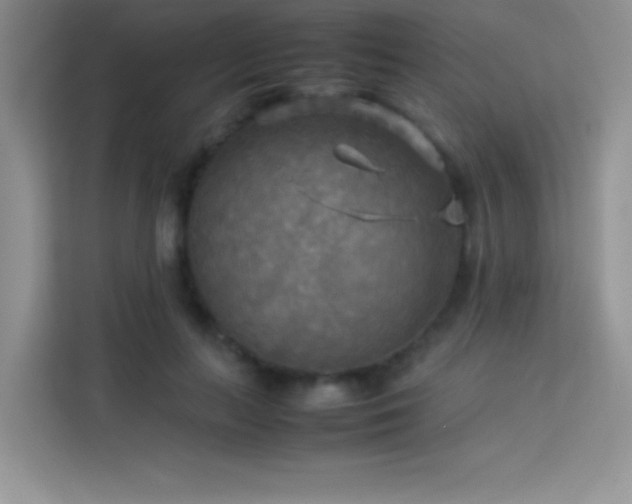 X0000114090647200910051426