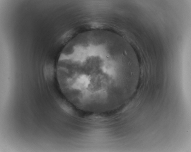 X0000114090648200910051426