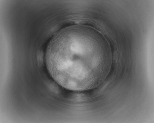 X0000114090650200910051426
